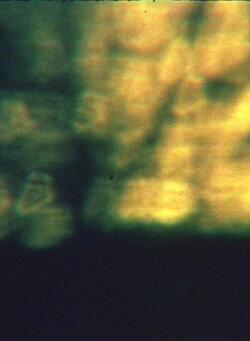 Estuary #1 (1998)