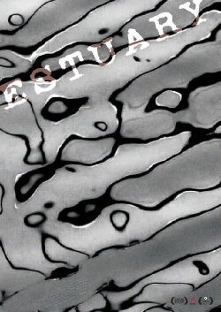 Estuary (2023)