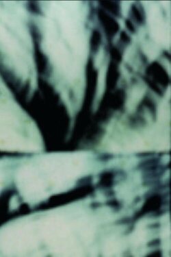 Étude pour arbre seul (1999) Étude pour arbre seul (1999)