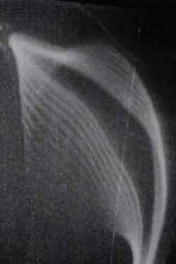 Études des solides illusoires (1960) Études des solides illusoires (1960)