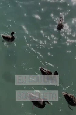 Eu Sou uma Borboleta (2021) Eu Sou uma Borboleta (2021)