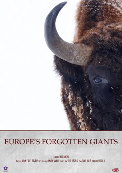 Europe's Forgotten Giants (2025) Europe's Forgotten Giants (2025)