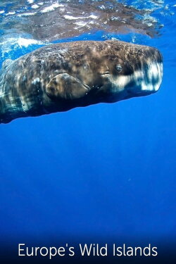 Europe's Wild Islands (2016) Europe's Wild Islands (2016)