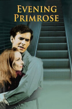 Evening Primrose (1966) Evening Primrose (1966)