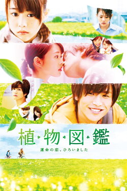 Evergreen Love (2016) Evergreen Love (2016)