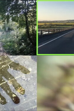 Everyday Apocalypse (2020) Everyday Apocalypse (2020)