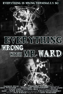 Everything Wrong with Mr. Ward (2024)