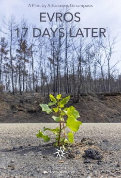 Evros – 17 Days Later (2024) Evros – 17 Days Later (2024)