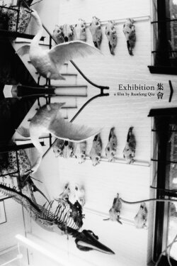 Exhibition (2021) Exhibition (2021)