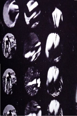 Experiment 002 (1994)
