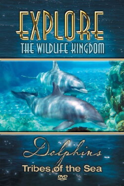 Explore the Wildlife Kingdom: Dolphins - Tribes of the Sea (2006) Explore the Wildlife Kingdom: Dolphins - Tribes of the Sea (2006)