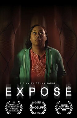 Exposé (2015) Exposé (2015)