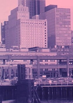 Exposures (1989)