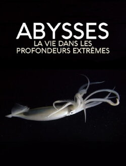 Extreme der Tiefsee - Abysses (2018) Extreme der Tiefsee - Abysses (2018)