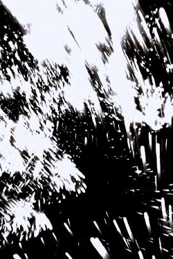Eyelashes of the Apocalypse (2020) Eyelashes of the Apocalypse (2020)
