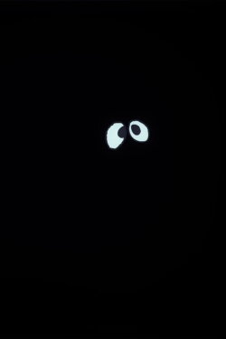 Eyes (2013)