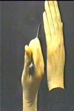 Eyes Skinned (1988) Eyes Skinned (1988)