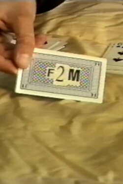 F2M (1992)