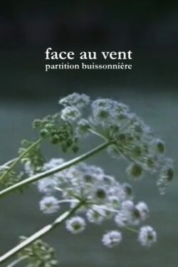 Face au vent, partition buissonnière (2010) Face au vent, partition buissonnière (2010)