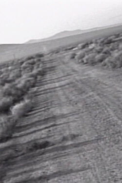 Facts on the Polywave (1992) Facts on the Polywave (1992)