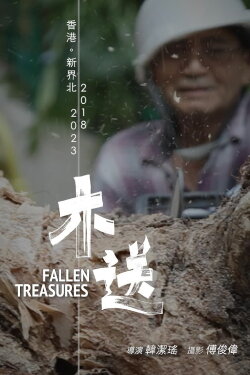 Fallen Treasures (2024) Fallen Treasures (2024)