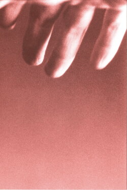 Falten (2005) Falten (2005)