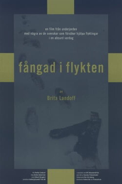 Fångad i flykten (1998) Fångad i flykten (1998)