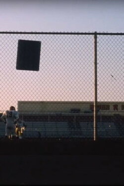 Farewell (2013)