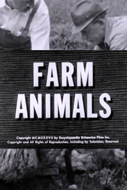 Farm Animals (1937) Farm Animals (1937)