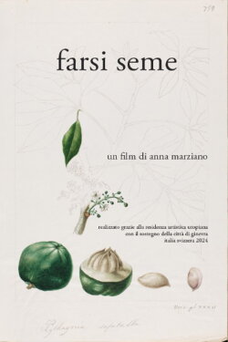 Farsi seme (2024)