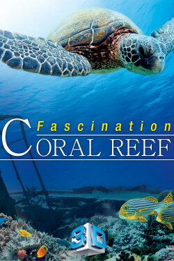 Fascination Coral Reef (2011)