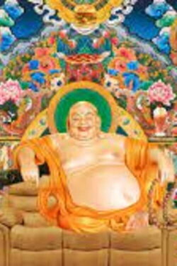 Fat Free Nirvana (2011) Fat Free Nirvana (2011)