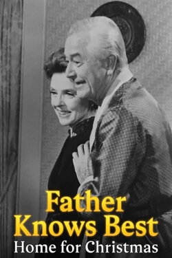 Father Knows Best: Home for Christmas (1977)