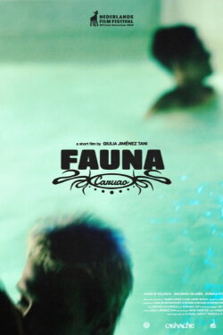 Fauna Caruao (2024) Fauna Caruao (2024)