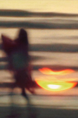 Faust Sonnengesang (2011)