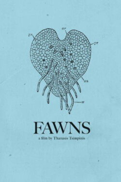 Fawns (2014)