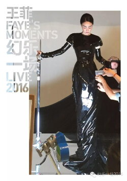 Faye's Moments Live 2016 (2016) Faye's Moments Live 2016 (2016)