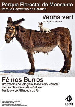 Fé nos Burros (2012) Fé nos Burros (2012)