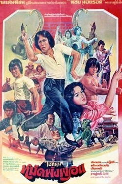 Fearless Master (1980) Fearless Master (1980)
