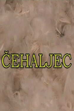 Feather-plucking (2006)