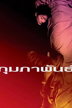 February (2003)