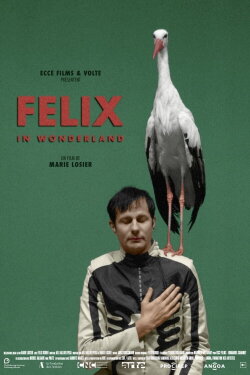 Felix in Wonderland (2019) Felix in Wonderland (2019)