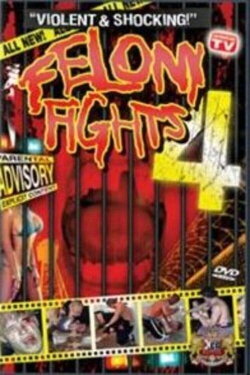 Felony Fights 4: Down and Dirty (2005) Felony Fights 4: Down and Dirty (2005)