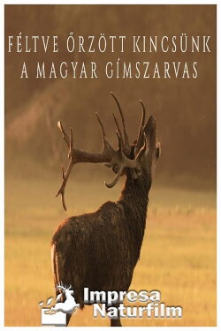 Féltve őrzött kincsünk, a magyar gímszarvas (2020) Féltve őrzött kincsünk, a magyar gímszarvas (2020)