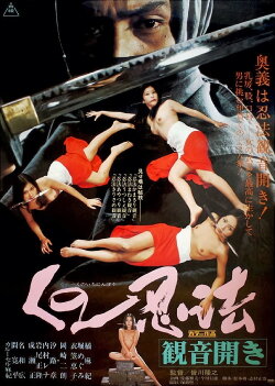 Female Ninjas: In Bed with the Enemy (1976) Female Ninjas: In Bed with the Enemy (1976)