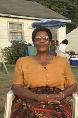 Fences & Neighborhoods (1996) Fences & Neighborhoods (1996)