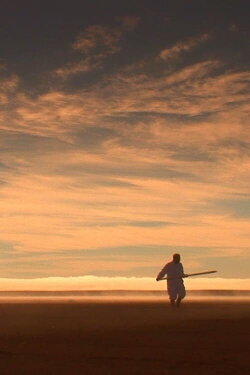 Fencing (2007)