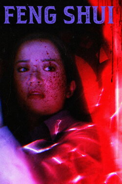 Feng Shui (2004)