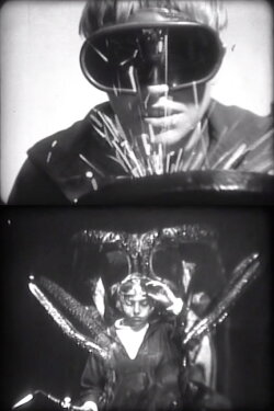Ferdi (1955)