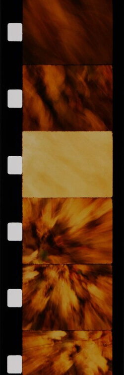 Feuilles (1989)